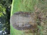 image of grave number 601813
